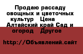 Продаю рассаду овощных и цветочных культур › Цена ­ 15 - Алтайский край Сад и огород » Другое   